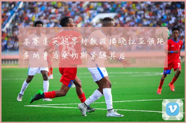 本赛季英超零封数据揭晓拉亚领跑多纳鲁马桑切斯紧随其后