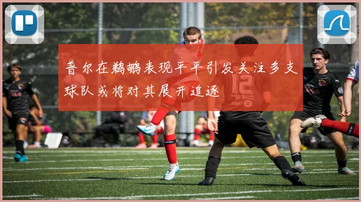 普尔在鹈鹕表现平平引发关注多支球队或将对其展开追逐