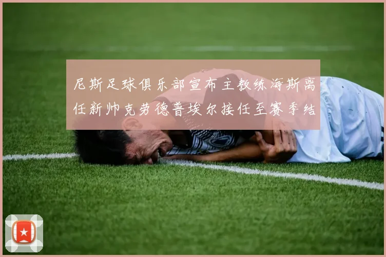 尼斯足球俱乐部宣布主教练海斯离任新帅克劳德普埃尔接任至赛季结束