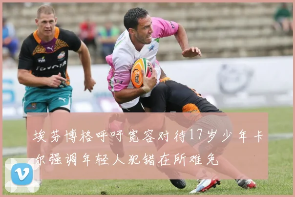 埃芬博格呼吁宽容对待17岁少年卡尔强调年轻人犯错在所难免